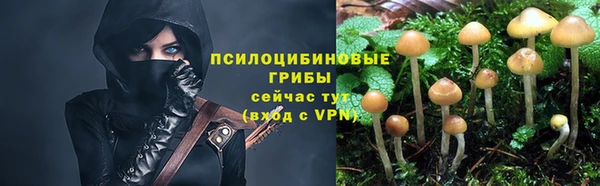 a pvp Верея