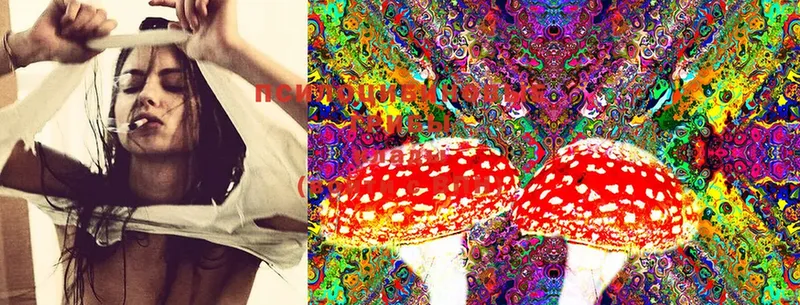 Галлюциногенные грибы Magic Shrooms  Белорецк 